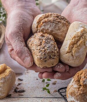 cupped hands holding a selection of Penny Loaves